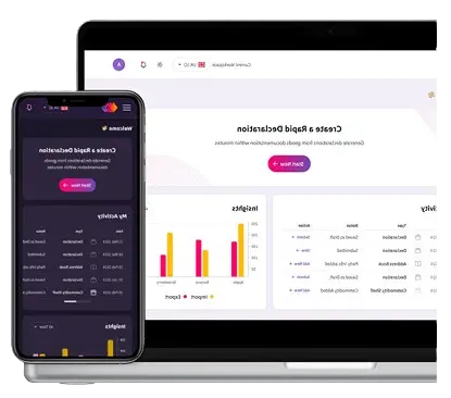 CustomsVerse platform mockup mobile showing dashboard Desktop